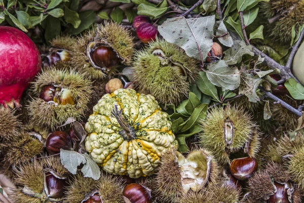 Frutos de Outono — Fotografia de Stock