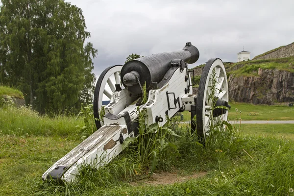 Cannon in Halden — Stock Photo, Image