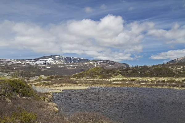 W regionie Dovrefjell — Zdjęcie stockowe