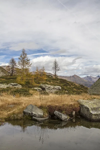 At Lago Aviolo — Stock Photo, Image