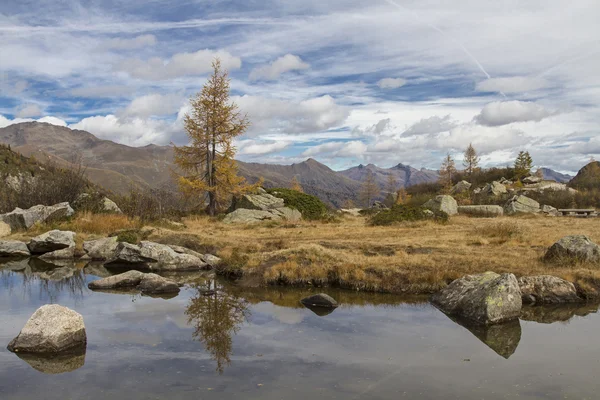 At Lago Aviolo — Stock Photo, Image