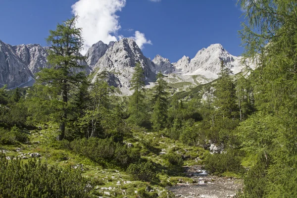 Mieming dağlarda — Stok fotoğraf