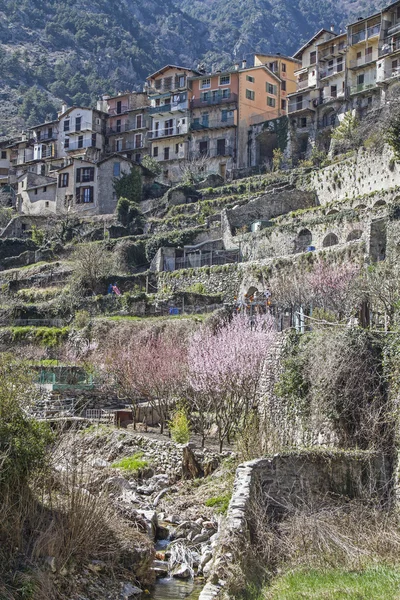 Tende — Stok fotoğraf