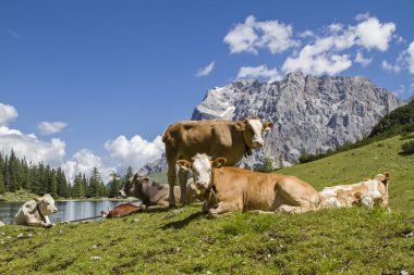 Mera İdil Seeebensee Gölü