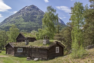 Çimen çatılı ahşap evler