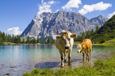 Mera İdil Seeebensee Gölü