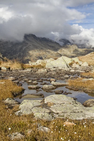 Hochmoor — Stockfoto