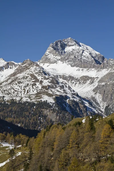 Albula berg — Stockfoto