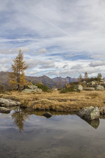 At Lago Aviolo — Stock Photo, Image