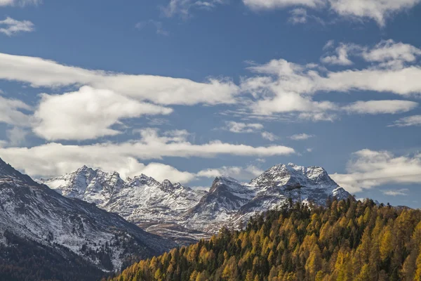 Yukarı Engadine sonbaharda — Stok fotoğraf