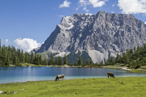 Jezero Seeeben a Zugspitze — Stock fotografie