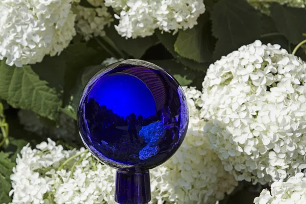 Floresce bola de neve com bola de jardim violeta — Fotografia de Stock