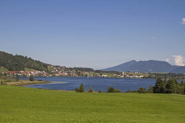 Hopfen no lago — Fotografia de Stock