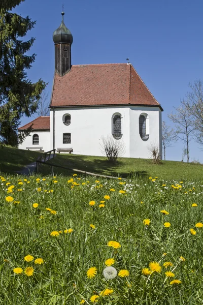 Capilla de plagas en prado de flores — Foto de Stock