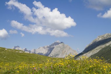 Hochalm eyer üzerinde