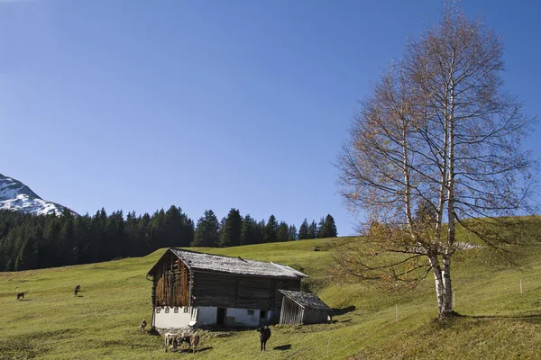 Hay hut i Val Medel — Stockfoto