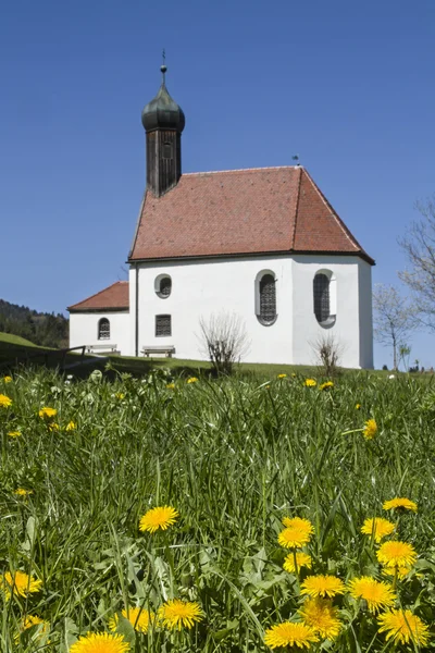 Pest kapell i blomma äng — Stockfoto