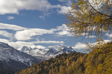 Yukarı Engadine sonbaharda