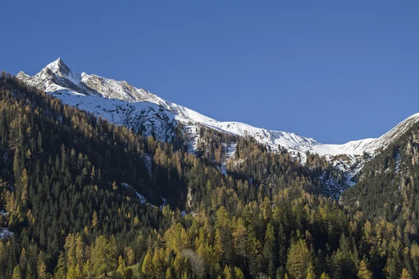 Otoño en el valle del Albula — Foto de Stock