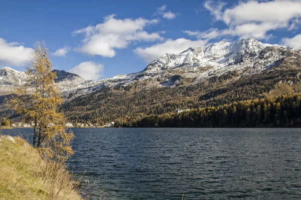 Herfst in Sils lake — Stockfoto