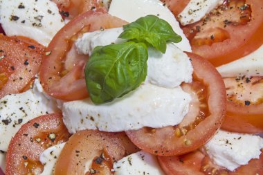 Mozzarella peyniri, domates ile