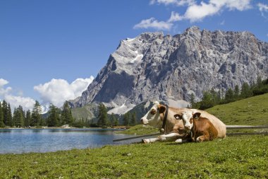 Mera İdil Seeebensee Gölü