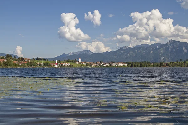 Hopfen no lago — Fotografia de Stock