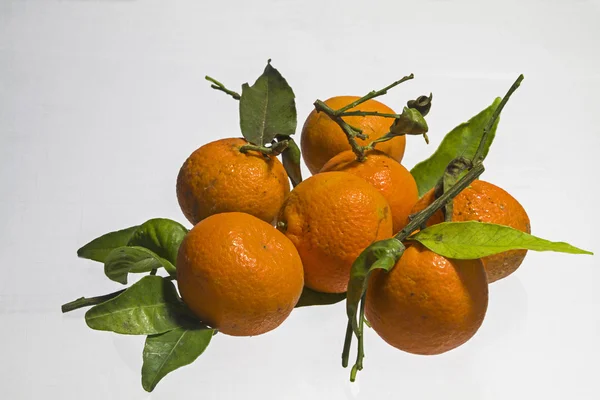 Tangerines — Stock Photo, Image