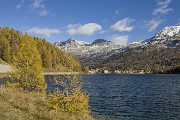 Hösten på Sils lake — Stockfoto