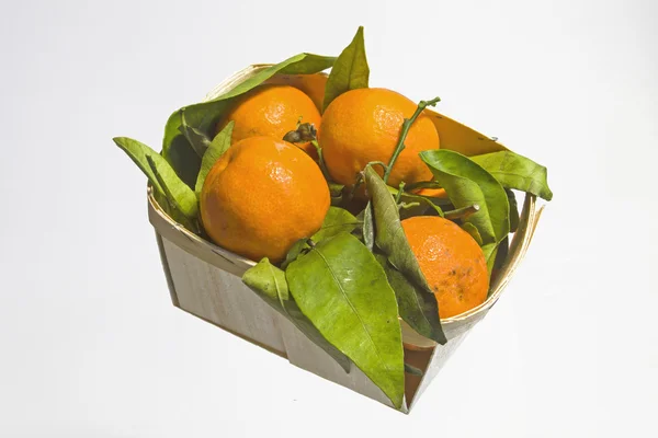 Tangerines — Stock Photo, Image