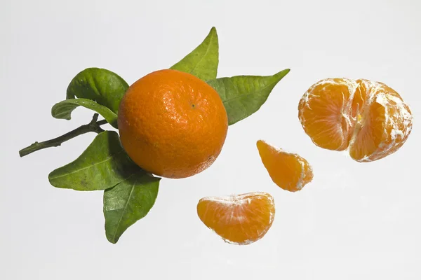 Tangerines — Stock Photo, Image