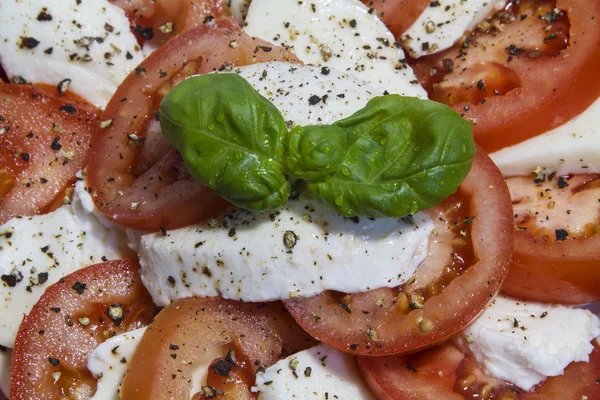 Mozzarella met tomaten — Stockfoto
