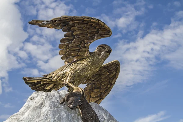 Golden hawk — Stock Photo, Image