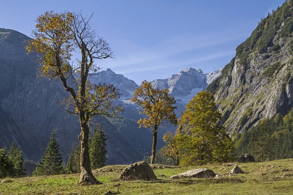 Tyrol'deki / daki büyük Ahornboden — Stok fotoğraf