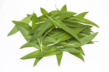 Ramson