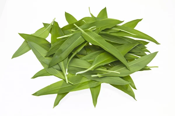 Ramson — Stok fotoğraf