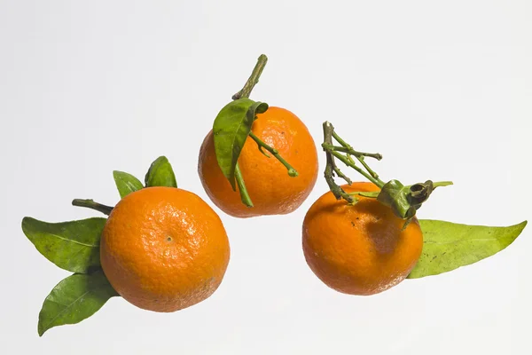 Tangerines — Stock Photo, Image