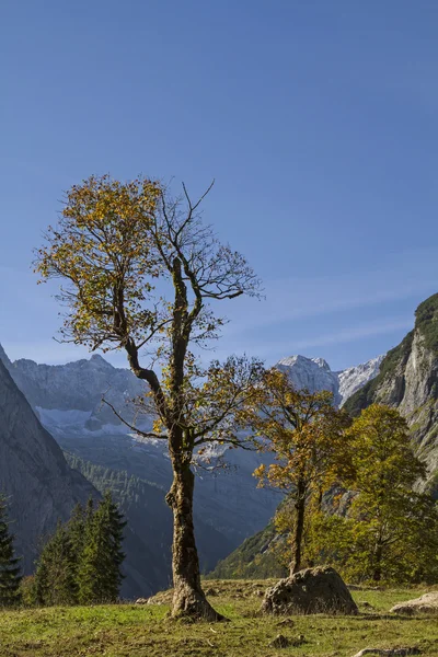 Great Ahornboden in Tyrol — Stock Photo, Image