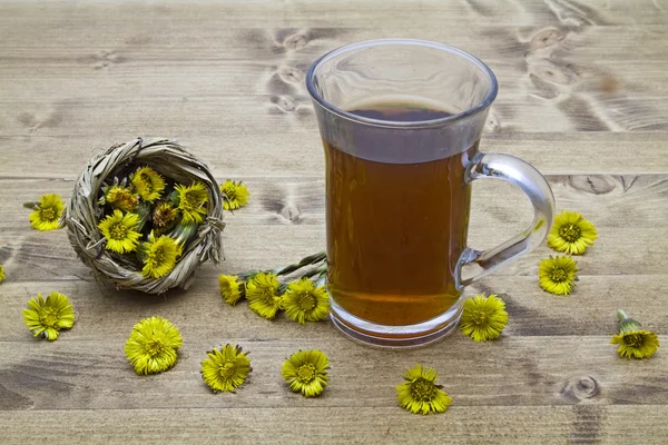 Coltsfoot tea — Stock Photo, Image