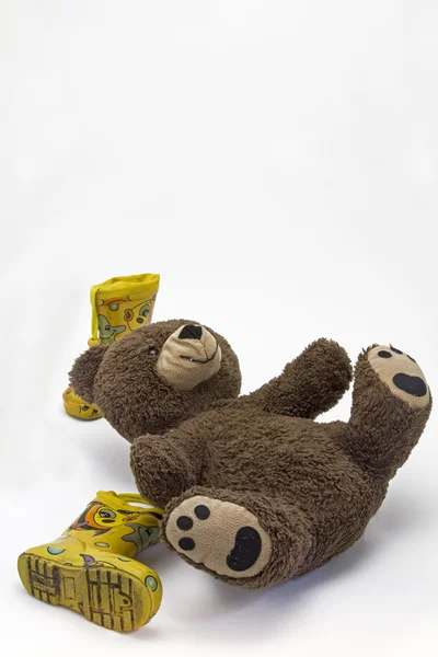 Teddybär — Stockfoto