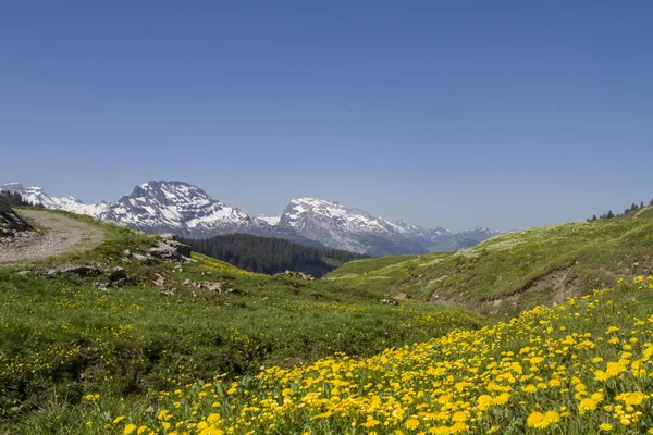 På Pragelpass — Stockfoto