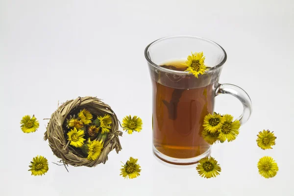 Белокопитнік чай — стокове фото