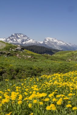 Pragelpass üzerinde