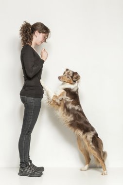 köpek eğitimi