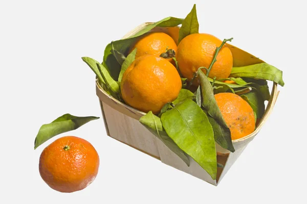 Tangerines — Stock Photo, Image