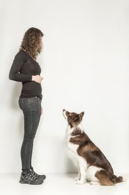 köpek eğitimi