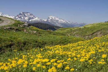 Pragelpass üzerinde