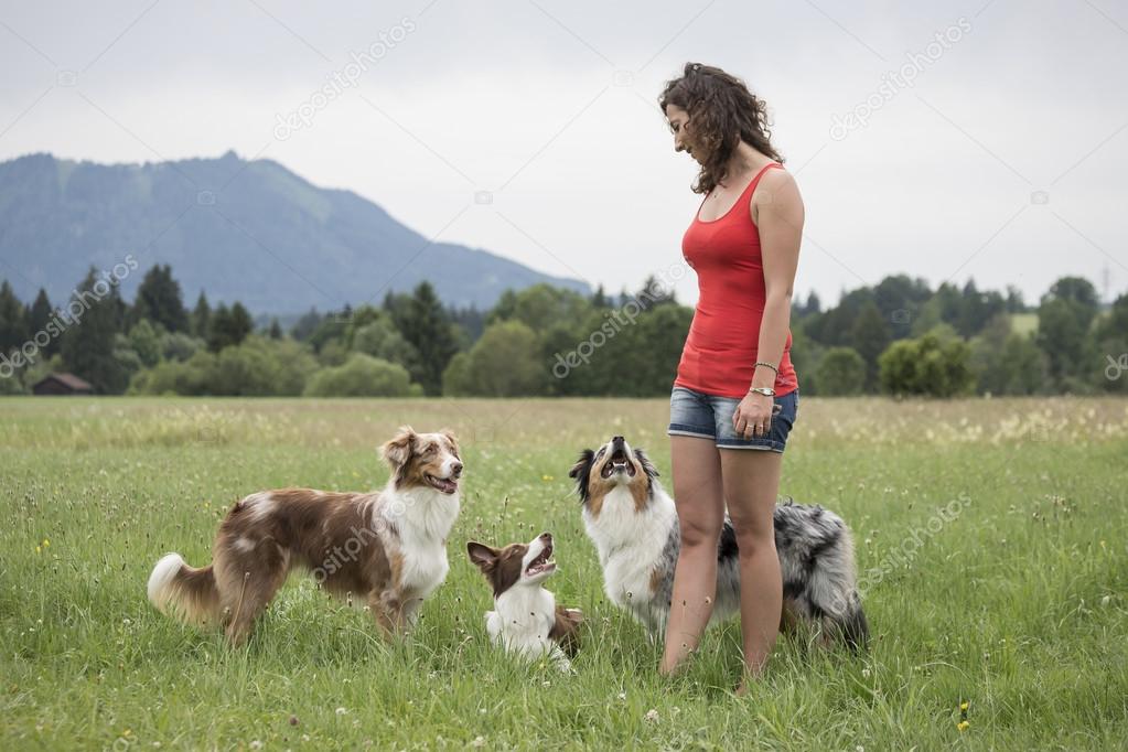 Dogs Trio with dog trainer
