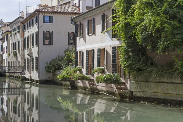 Treviso in Veneto — Stok fotoğraf