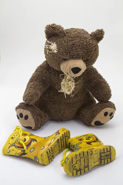 Teddybär — Stockfoto